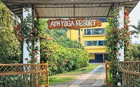 Aym Yoga Resort Arambol Goa